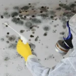 Eine Fachkraft in weißem Schutzanzug, gelben Schutzhandschuhen und professioneller Atemschutzmaske behandelt eine stark mit Schwarzschimmel befallene Wand mit einem Sprühgerät.